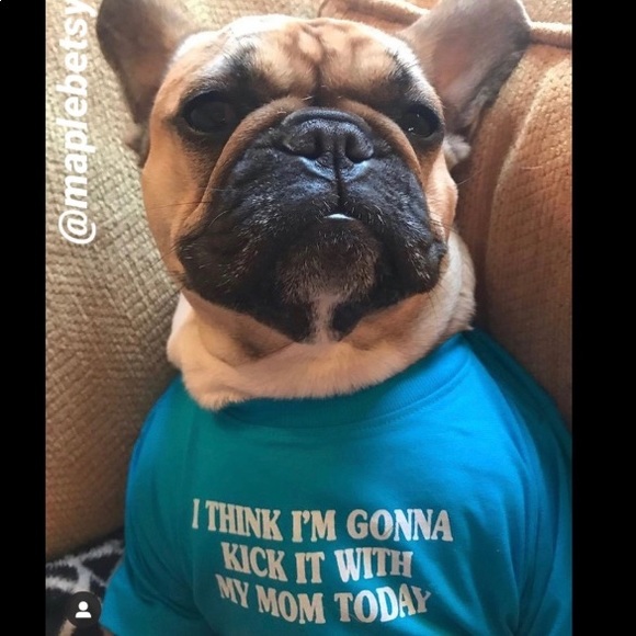 None Other - Dog humorous t shirt I think I’m gonna kick it with my mom today large